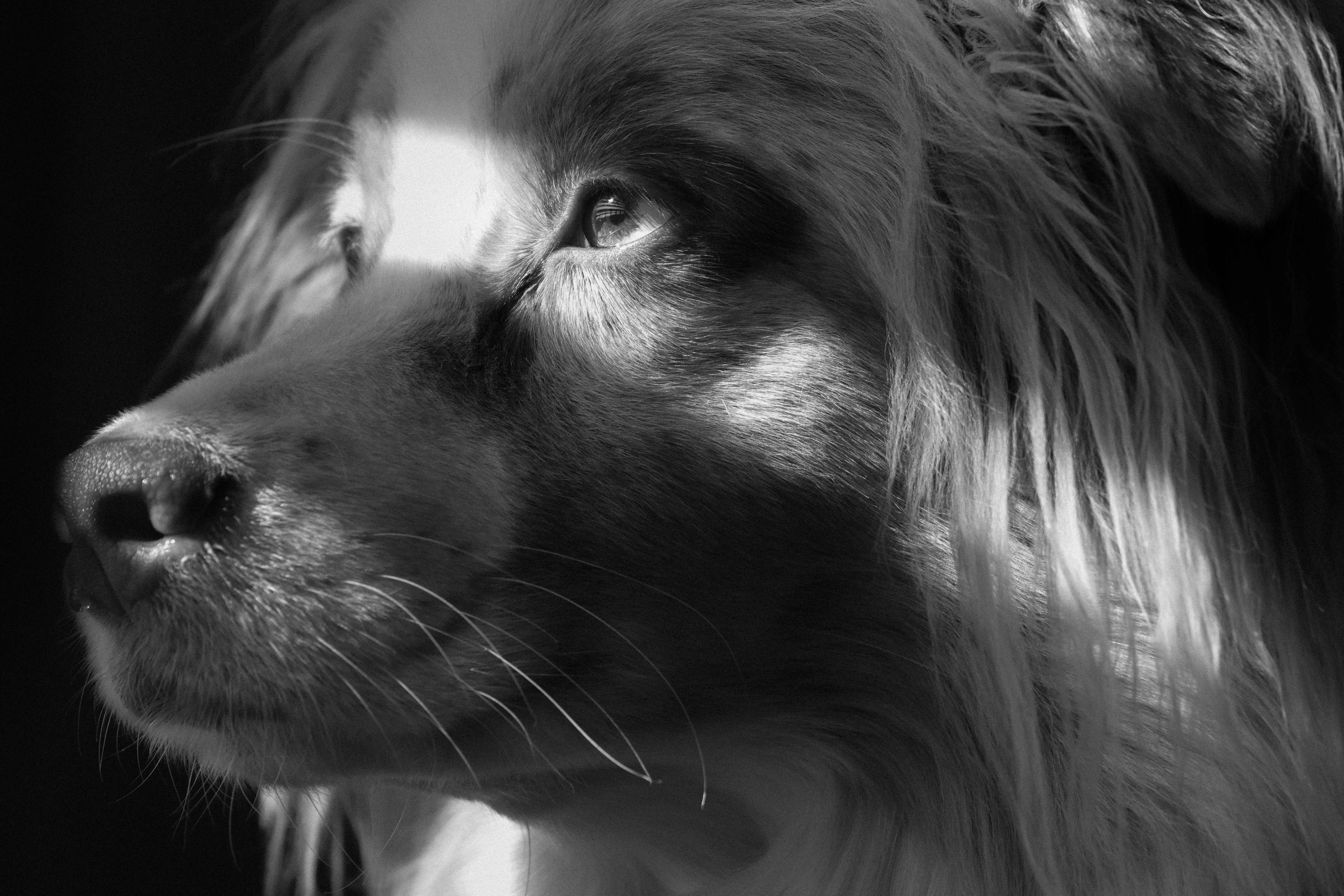 Aperçu du projet Lumière